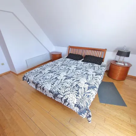 Spacious Penthouse Apartman